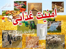 توزیع مرحله سوم سبد حمایت غذایی دولت آغاز شد