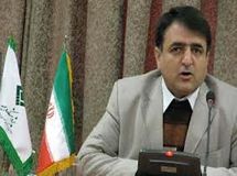 رئیس  پژوهشکده بیمه: بروز مشکل در بیمه توسعه به مدیریت قبلی برمی‌گردد