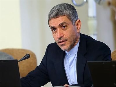 طیب‌نیا: تفاوت نرخ اعلامی تورم از سوی بانک مرکزی و مرکز آمار جزئی است