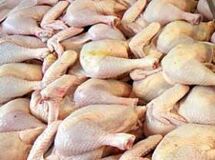 رئیس اتحادیه مرغداران گوشتی: مرغ کیلویی 5200 تومان شد