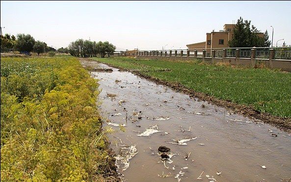 مزارع سبزی و صیفیجات جنوب تهران به دستور وزیرکشاورزی قلع و قمع میشوند