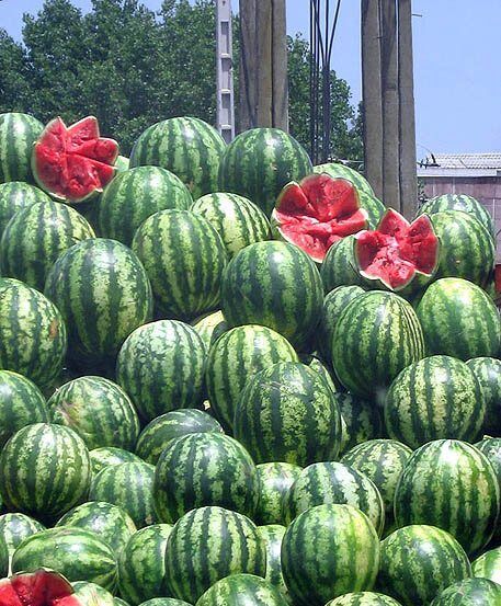 هنداونه‌های صادراتی ایران عاری از هرگونه آلودگی هستند