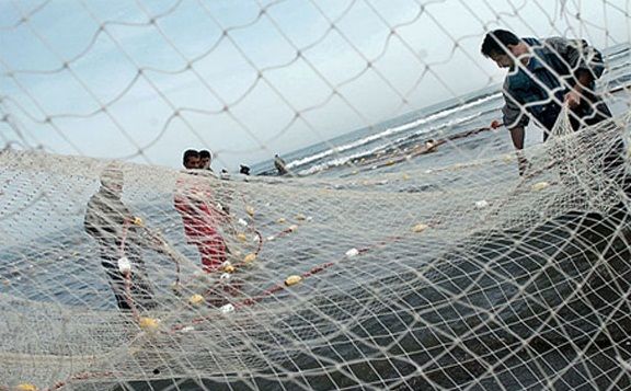 رئیس سازمان شیلات: تعرفه‌های ترجیحی صدور محصولات شیلاتی به روسیه	2.5 تا 7.5 درصد شد