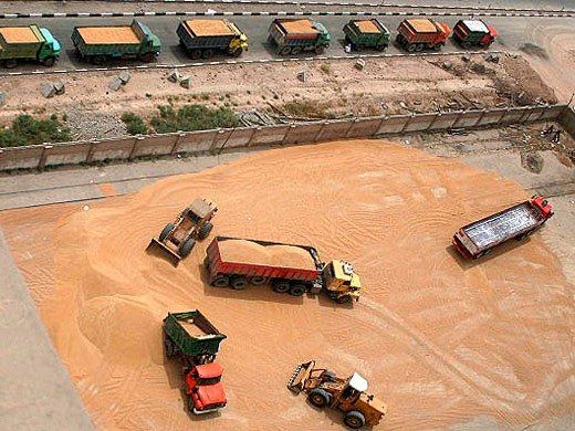 خرید تضمینی گندم از مرز یک میلیون تن گذشت