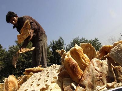 هر ایرانی در سال 50 کیلو نان هدر می‌دهد