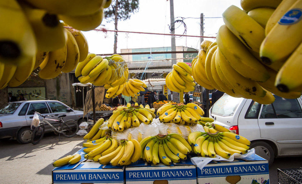 اختلاف قیمت 2200 تومانی موز از گمرک تا درب مغازه