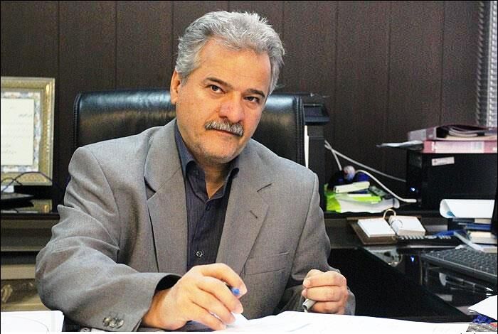 مدیرعامل شرکت ملی صادرات گاز: ایران در خاک ترکیه نیروگاه می‌سازد