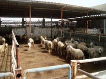 طرح ویژه تشدید بر نظارت‌های بهداشتی ماه رمضان از امروز
آغاز شد