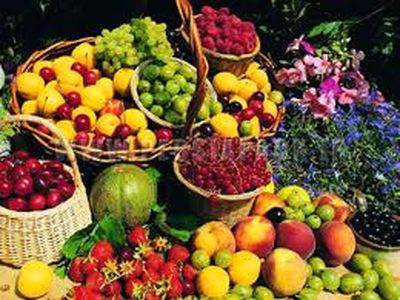 نامه وزارت جهاد کشاورزی به سازمان میادین میوه و تره‌بار شهرداری
