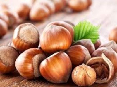 رئیس اتحادیه خشکبار: فندوق، گردو و بادام به ایران قاچاق می‌شود