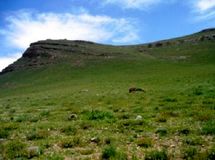 معاون حفاظت و امور اراضی تهران: 40 هزار هکتار از اراضی ملی و دولتی استان سنددار می‌شود