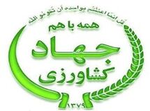 وزارت جهاد کشاورزی انحصار در "واردات میوه" را تکذیب کرد
