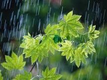 هفته‌ای بدون بارش، بحران را جدی بگیریم