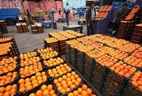 رئیس سازمان جهادکشاورزی مازندران: دولت نباید وارد تنظیم بازار سیب و پرتقال شود