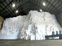 دبیر انجمن قند و شکر: 20 کارخانه قند و شکردر آستانه یک زیان بزرگ مالی