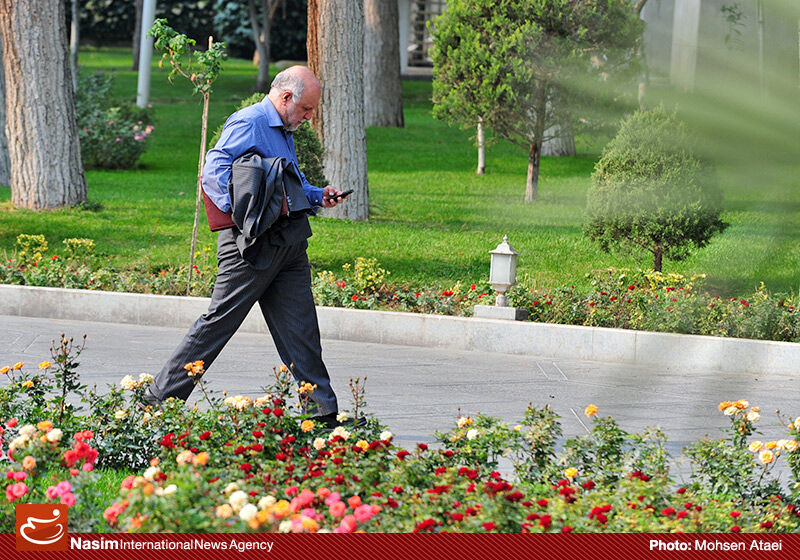 زنگنه: برنامه افزایش تولید خود را در اجلاس آتی اوپک رسما اعلام می‌‌کنیم