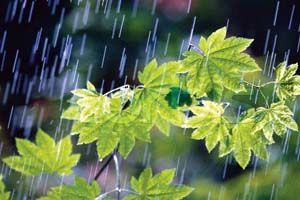 حجم بارش‌های کشور به 79 میلی‌متر رسید