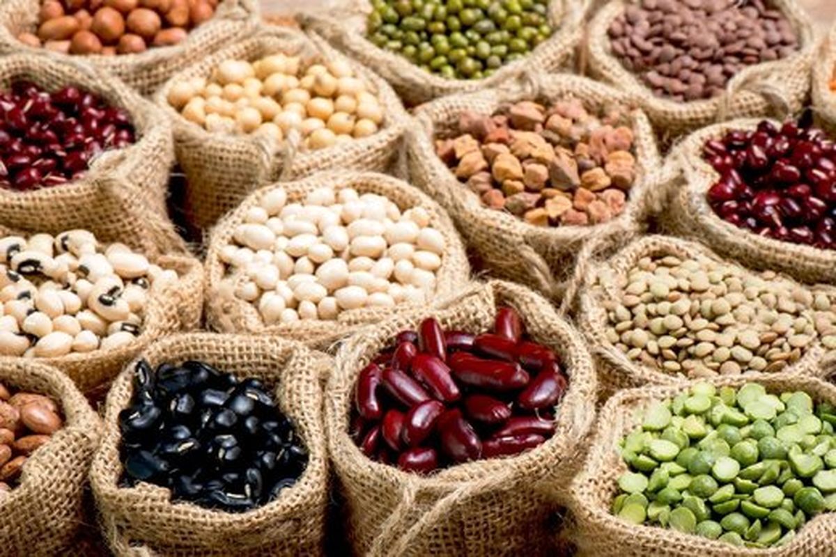 آغاز ثبت سفارش حبوبات سهمیه فصل پاییز از ۲۹ شهریور
