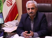 پایان پرونده چای سنواتی در کشور