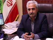 پایان پرونده چای سنواتی در کشور