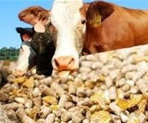 ایجاد مجدد رانت 50هزار تومانی در ارز واردات نهاده