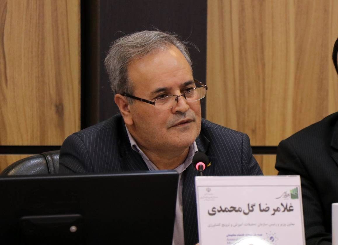 تولید برنج هیبرید با عملکرد 6 تن در هکتار با کمک چین/ واردات ارقام نیشکر چینی با عملکرد 2 برابر