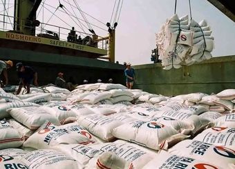 دومینوی تصمیمات اشتباه وزارت جهاد؛ از ارز ترجیحی تا قیمت‌گذاری برنج در کشور صادرکننده!
