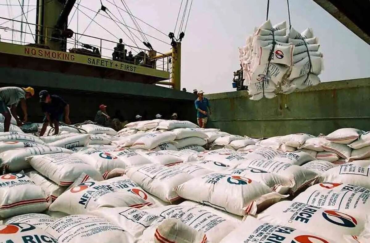 دومینوی تصمیمات اشتباه وزارت جهاد؛ از ارز ترجیحی تا قیمت‌گذاری برنج در کشور صادرکننده!
