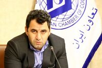  شرکت بازرگانی دولتی بیشتر از دو سال در بخش خصوصی دوام نمی‌آورد