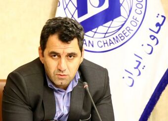  شرکت بازرگانی دولتی بیشتر از دو سال در بخش خصوصی دوام نمی‌آورد