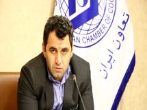  شرکت بازرگانی دولتی بیشتر از دو سال در بخش خصوصی دوام نمی‌آورد