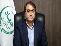 آغاز اجرای مصوبه دولت برای ساماندهی واردات و عرضه نهاده‌های دامی