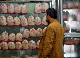 خبر مهم استانداری تهران درباره کنترل بازار مرغ/ ترمز افزایش قیمت مرغ کشیده شد؟
