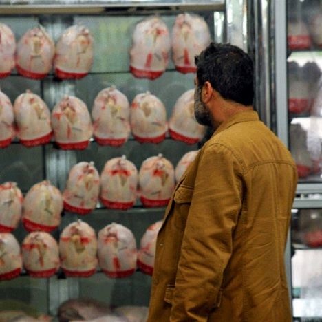 خبر مهم استانداری تهران درباره کنترل بازار مرغ/ ترمز افزایش قیمت مرغ کشیده شد؟
