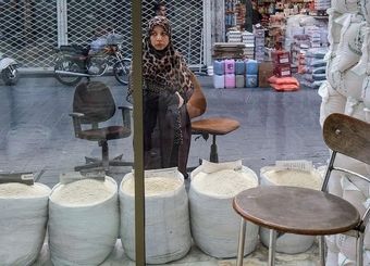 هزاران تن برنج وارد شده با ارز دولتی؛ ناپدید شد/ چرا کسی مسئولیت را نمی‌پذیرد؟
