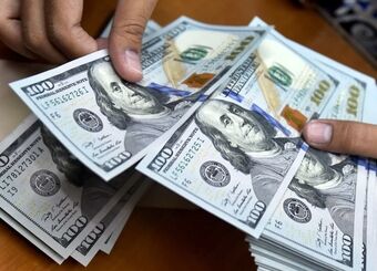۸۸ درصد سقوط درآمد؛ صرافی ملت می‌گوید حذف ارز نیمایی نفس‌مان را برید    