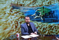 واردات و توزیع قطره چکانی برنج تاثیری در تنظیم بازار ندارد
