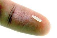 قیمت هر دانه برنج ۸۰ تومان شد / هر قاشق ۲ هزار و ۴۰۰ تومان
