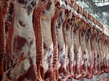 قیمت تمام‌ شده گوشت قرمز ۱.۵ میلیون تومان است