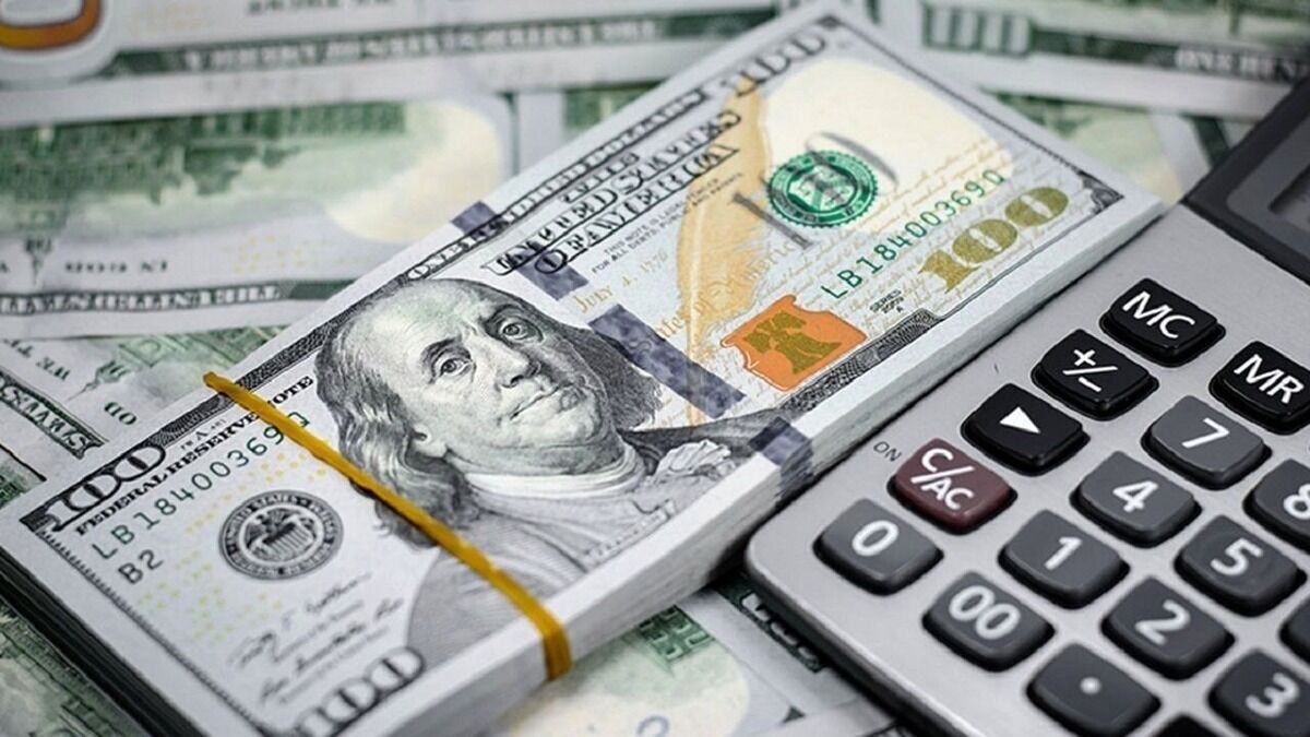 افزایش نرخ دلار کالاهای اساسی / تغییر سیاست ارزی بانک مرکزی اجرا شد
