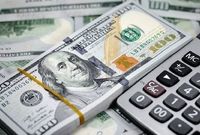 افزایش نرخ دلار کالاهای اساسی / تغییر سیاست ارزی بانک مرکزی اجرا شد
