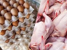 جزئیات کاهش قیمت مرغ، تخم مرغ و گوشت قرمز در بازار