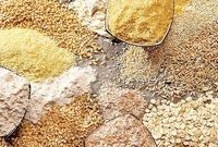 کمبود نهاده نداریم، مسئله اصلی تأمین سرمایه در گردش است
