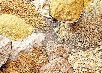 کمبود نهاده نداریم، مسئله اصلی تأمین سرمایه در گردش است
