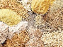 کمبود نهاده نداریم، مسئله اصلی تأمین سرمایه در گردش است
