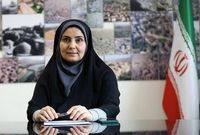 صادق: حمل‌ونقل ستون فقرات هشت سال دفاع مقدس بود
