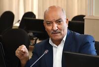 نیم میلیون تن گندم خوراک دام و طیور شد
