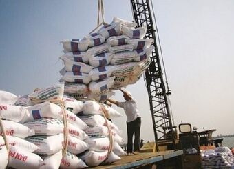 تصمیم عجیب دولت و آشفتگی در بازار برنج