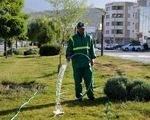 بحران بزرگ در پایتخت؛ آبیاری فضای سبز با شلنگ در روزهای بی‌آبی 