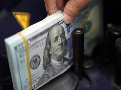 قیمت دلار توافقی شنبه 1 شهریورماه | یورو گران شد

